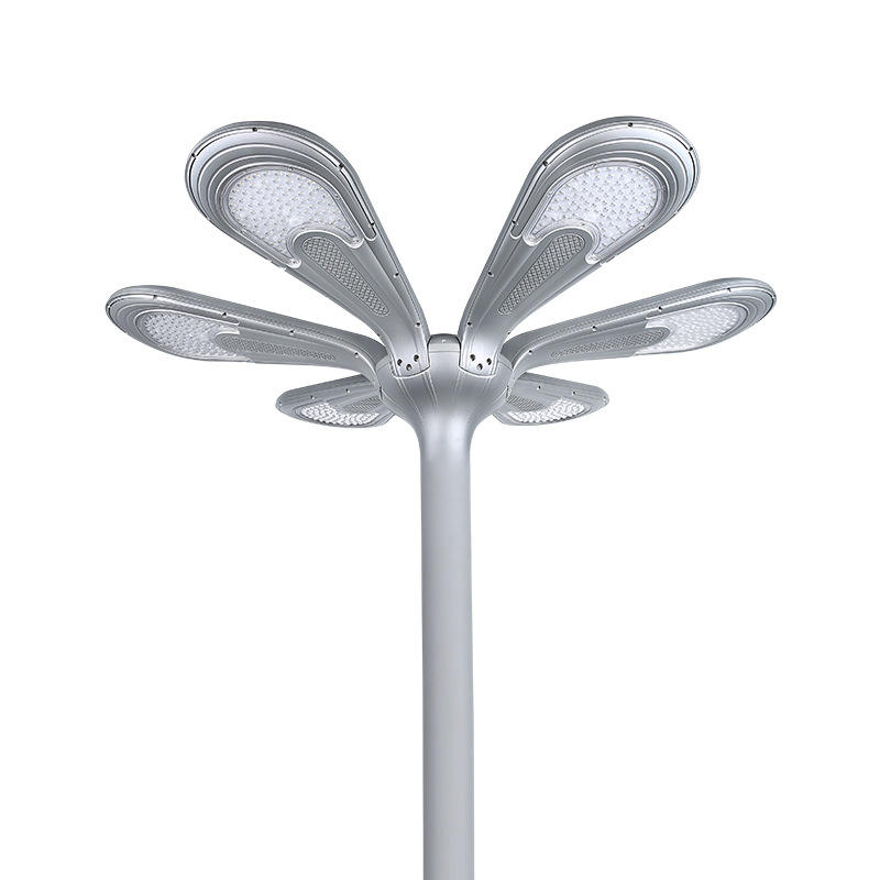 Deyan TYD5005 100W Monocrystalline Solar Street Light - IP65 Waterproof Outdoor Lighting